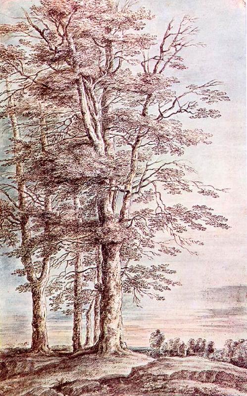 UDEN, Lucas van Landscape with Tall Trees dg China oil painting art